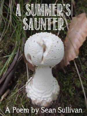 cover image of A Summer's Saunter